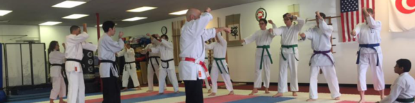 Adult Karate Class - All Okinawa Karate & Kobudo
